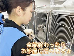 １年生が成犬、２年生が子犬をお世話♪